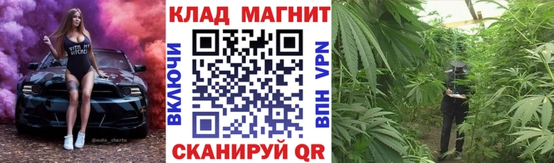 Купить наркотик Новотроицк Кокаин A-PVP LSD-25 МЕФ Конопля