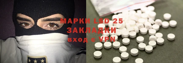 гашик Новодвинск