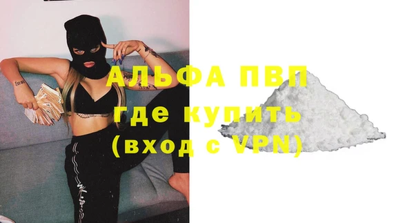 хмурый Абаза