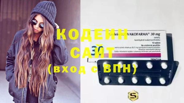 хмурый Абаза