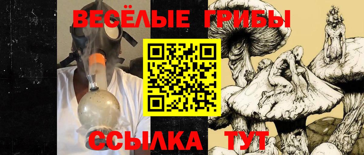 Псилоцибиновые грибы мухоморы  Вход с VPN  Новотроицк 