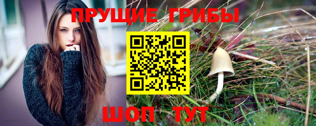 Псилоцибиновые грибы мицелий Новотроицк